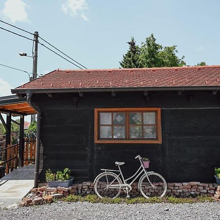 Studio Apartment Romeo Велика Горица Екстериор снимка